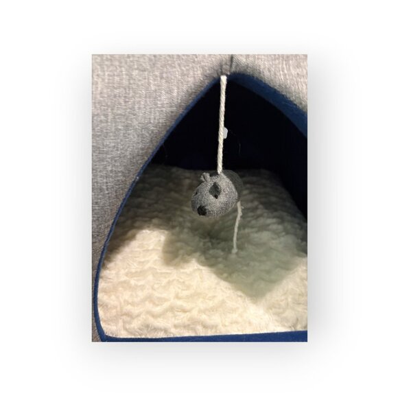 Igloo cat bed NWOT - Picture 4 of 7